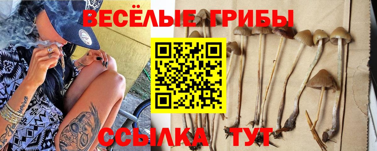 Новочеркасск  Галлюциногенные грибы Cubensis  Вход с VPN 